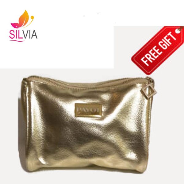 کیف آرایشی طلایی پایو